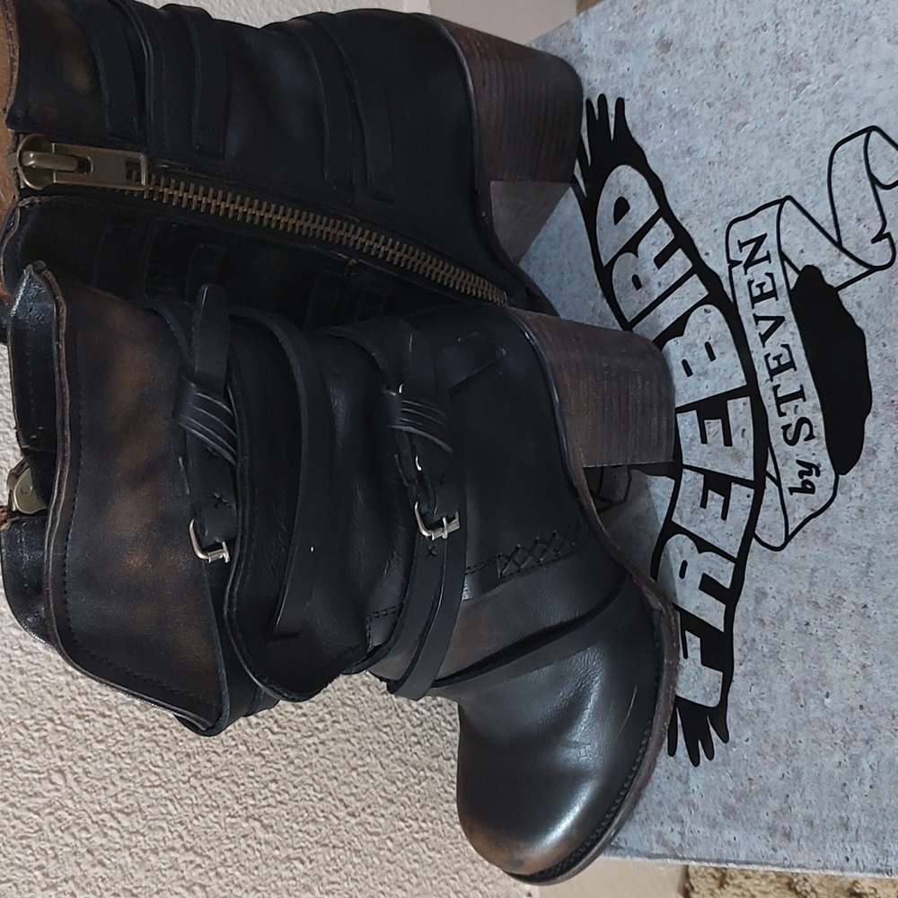 Freebird by Stephen boot